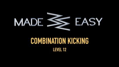 INTRO – COMBINATION KICKING – LEVEL 12