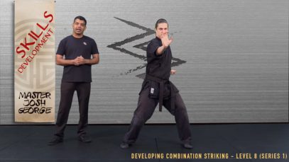 V1 – COMBINATION STRIKING – SERIES 1 COMPLETE