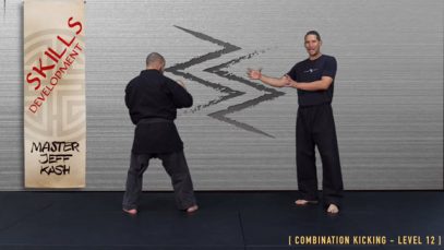 V1 – ROUNDHOUSE KNEE : SPINNING HOOK KNEE – LEVEL 12