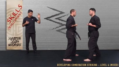 V12 – BLACK BELT CANDIDATE – LEVEL 4 (MIXED)