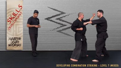 V12 – BLACK BELT CANDIDATE – LEVEL 7 (MIXED)