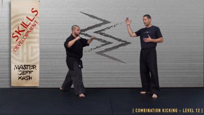 V2 – ROUNDHOUSE KICK : SPINNING HOOK KNEE – LEVEL 12