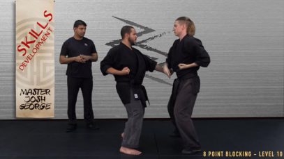 V3 – BLACK BELT CANDIDATE – LEVEL 10