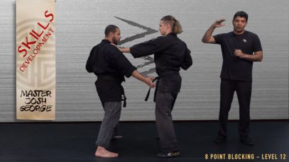 V3 – BLACK BELT CANDIDATE – LEVEL 12