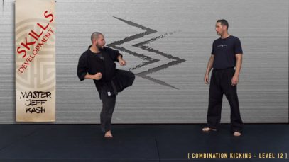 V4 – ROUNDHOUSE KNEE : SPINNING HOOK KICK – LEVEL 12