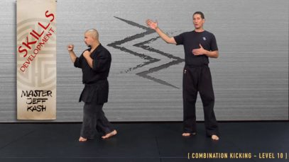 V4 – TWIST IN FRONT, ROUNDHOUSE KICK