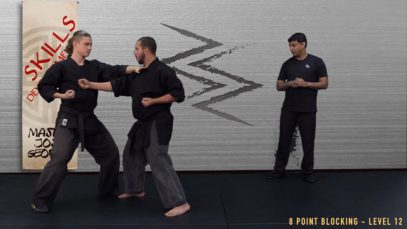 V6 – BLACK BELT CANDIDATE – LEVEL 12