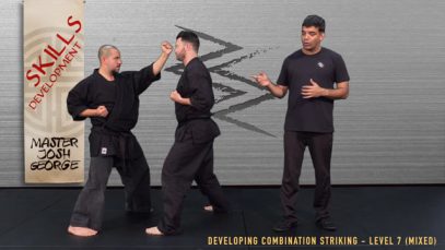 V6 – BLACK BELT CANDIDATE – LEVEL 7 (MIXED)