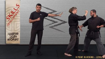 V6 – BLACK BELT CANDIDATE – LEVEL 8