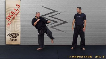 V6 – ROUNDHOUSE KICK : SPINNING HOOK KICK – LEVEL 12