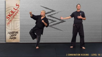 V7 – COMBINING TWIST STANCES AND KICKS