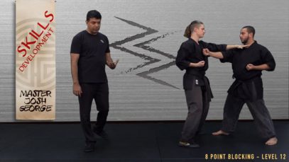 V8 – PARTNER DRILL – LEVEL 12