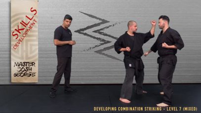 V8 – PARTNER DRILL – LEVEL 7 (MIXED)