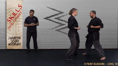 V9 – BLACK BELT CANDIDATE – LEVEL 10